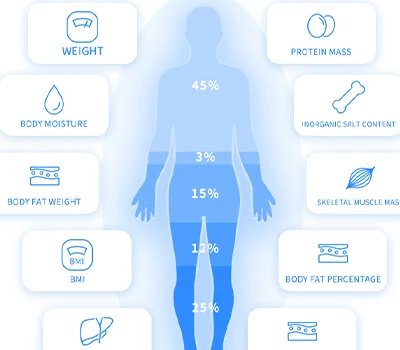 Di luar skala: inbody vs xianku3d - Pertempuran untuk wawasan tubuh di ruang komersial